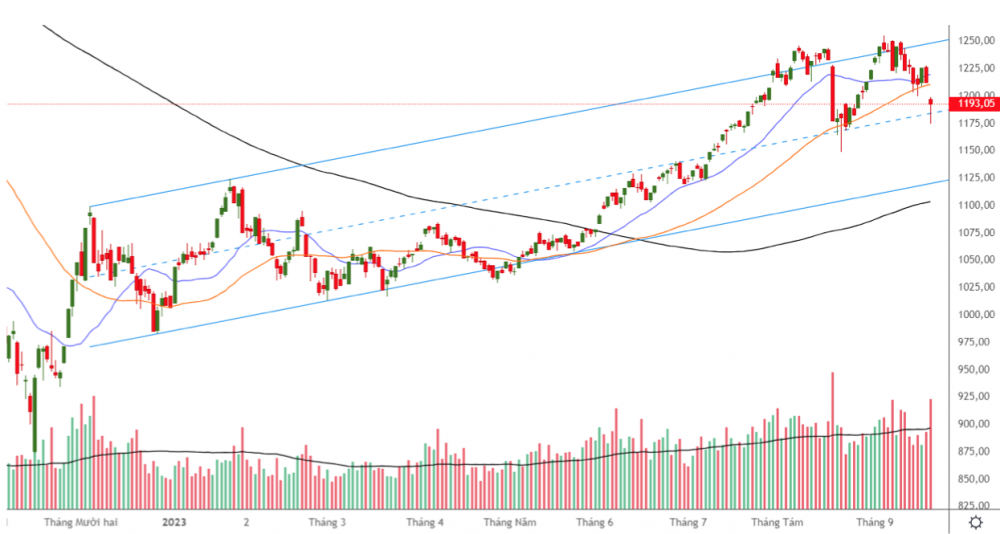 Cổ phiếu ngân hàng hôm nay: VCB duy trì vị thế đầu ngành để đón đầu sự phục hồi