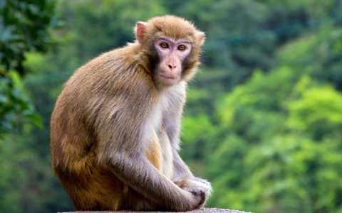 undefined https://cdn.stockproxx.com/2023/9/27/phu-nu-cam-tinh3.png