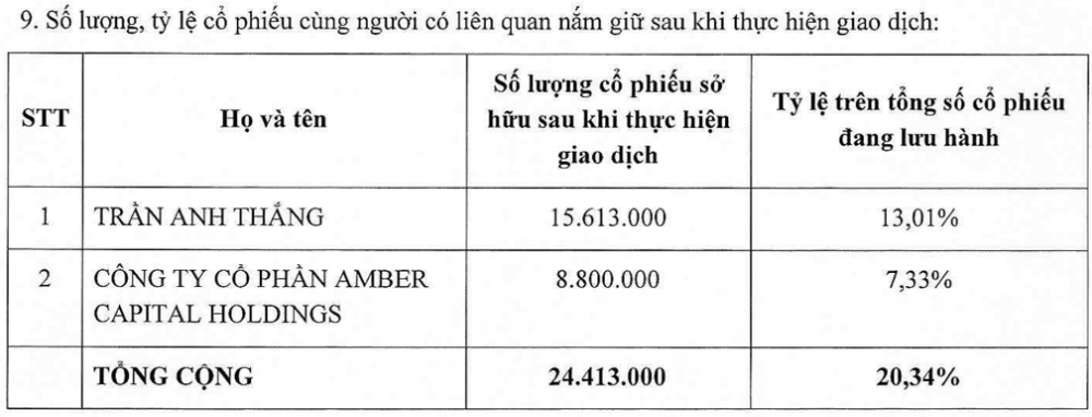 Hé lộ hệ sinh thái Amber Holidings phía sau Chứng khoán Nhất Việt (VFS)