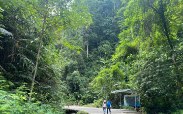 Dịch vụ môi trường rừng: Thu đạt gần 60% kế hoạch