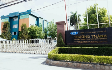 Gỗ Trường Thành lỗ thêm 11 tỷ sau soát xét, cổ phiếu bị giữ nguyên diện cảnh báo