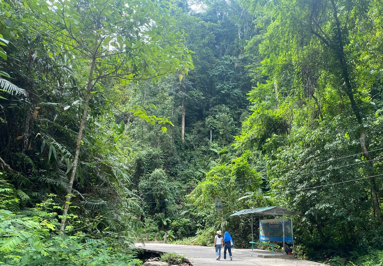 Dịch vụ môi trường rừng: thu đạt gần 60% kế hoạch - Ảnh 1.