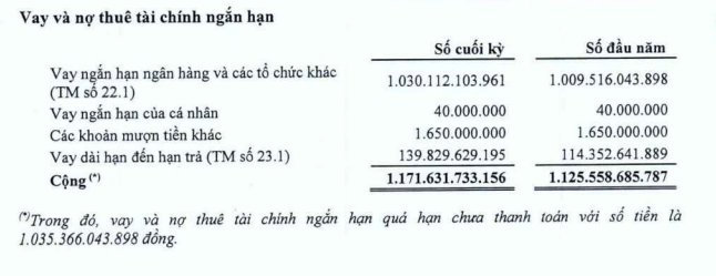 Đức Long Gia Lai nợ ai, nợ bao nhiêu mà bị yêu cầu mở thủ tục phá sản?