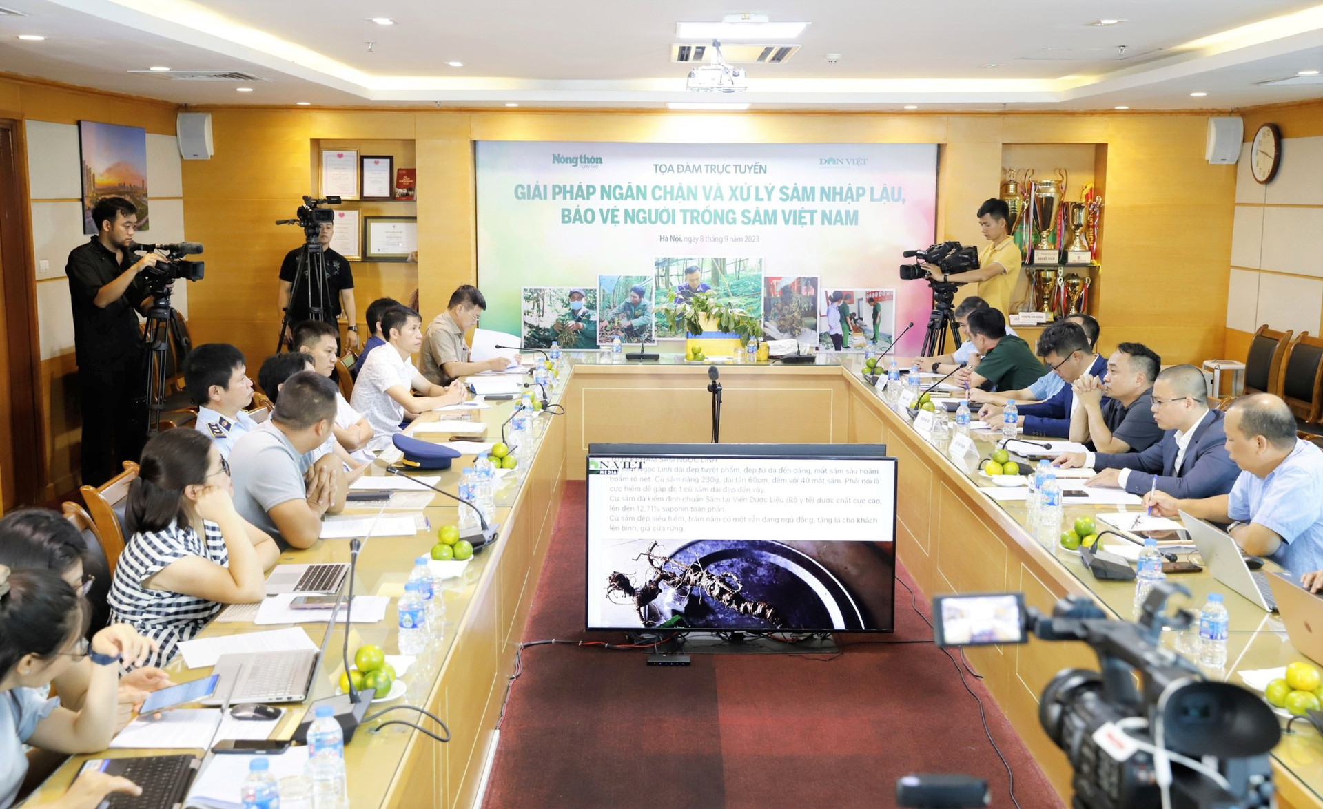 Chung tay bảo vệ thương hiệu sâm Việt Nam - Ảnh 2.