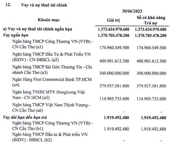 Đang nợ tài chính hơn 1.300 tỷ đồng, Trung An (TAR) vẫn muốn vay thêm
