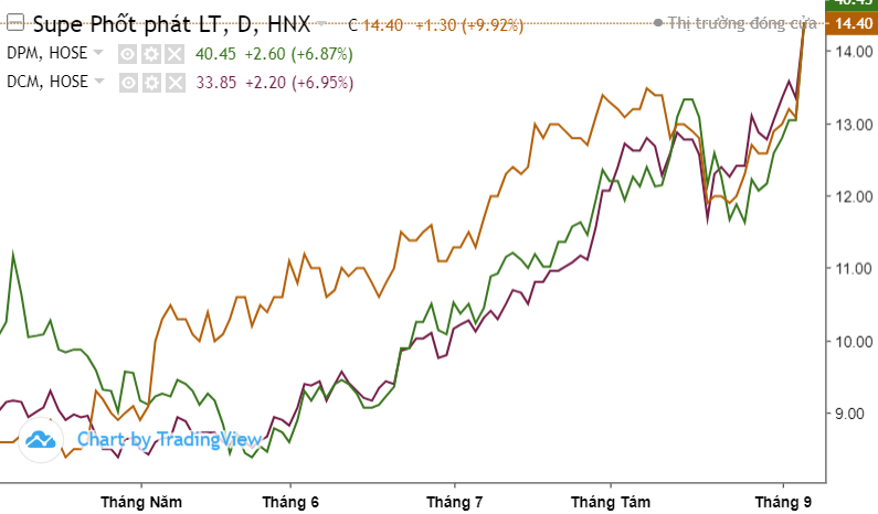 Top 10 cổ phiếu nổi bật phiên 8/9: VIC, VHM, GEX, VPB, DPM, HAH, ABS
