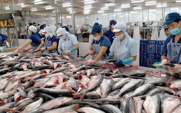 Thủy sản lấy lại đà cân bằng để đẩy mạnh xuất khẩu