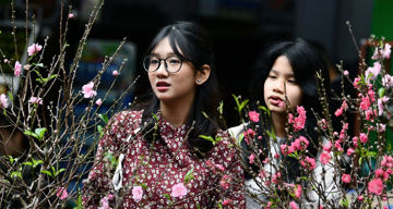 Dự báo thời tiết 10 ngày tới: Miền Bắc nắng đẹp ngày đầu năm mới, nền nhiệt tăng
