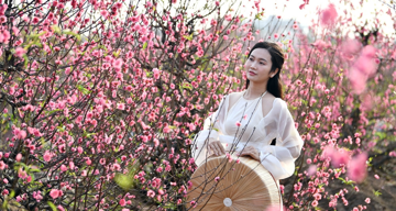 Dự báo thời tiết 12/2/2024 (mùng 3 Tết): Cả nước nắng đẹp, miền Bắc mưa vài nơi