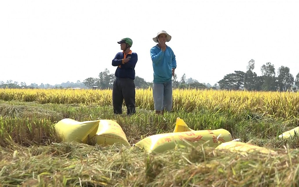 https://cdn.stockproxx.com/2024/2/21/viet-nam-2.jpg