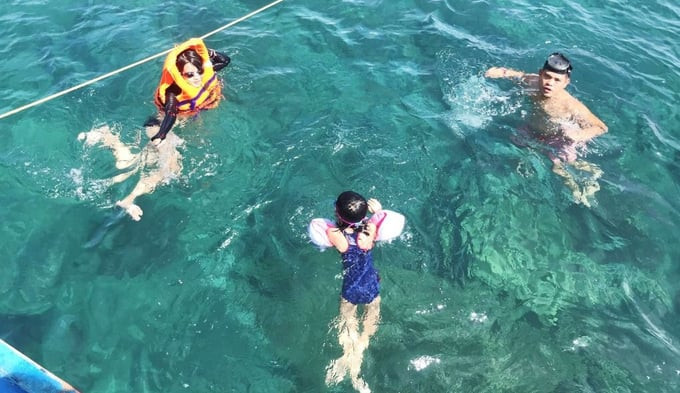 Tắm biển và lặn ngắm san hô tại đảo Hòn Chùa. Ảnh: Internet