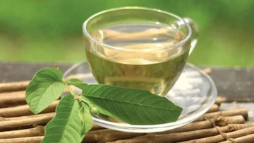 Loại lá quen thuộc này là phương thuốc hạ đường huyết tự nhiên, chống ung thư hiệu quả