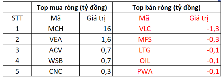 https://cdn.stockproxx.com/2024/6/26/ban-rong-3.png