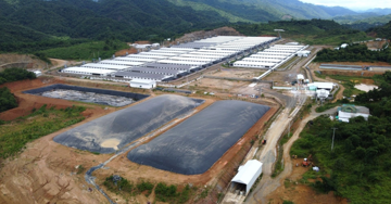 Nghìn hộ dân ở Thanh Hóa khốn khổ vì mùi hôi thối từ trang trại lợn