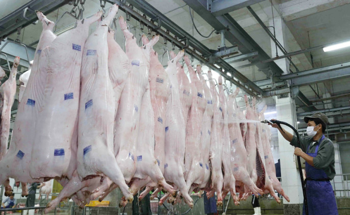 Chất lượng an toàn thực phẩm: Cảnh báo từ các cơ sở giết mổ động vật- Ảnh 1. Chất lượng an toàn thực phẩm: Cảnh báo từ các cơ sở giết mổ động vật- Ảnh 1.