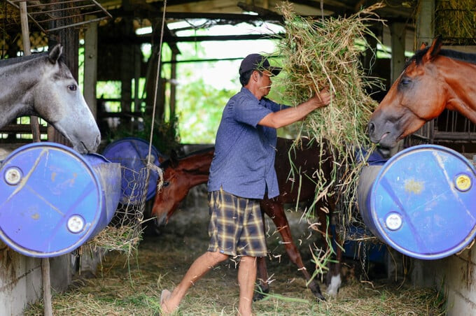 Với người dân, ngựa đua không chỉ là một thú vui mà còn là niềm tự hào, là cả một 