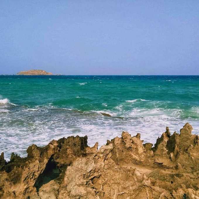 Du khách đến đây có thể dễ dàng quan sát những vân san hô, những lỗ nhỏ li ti trên bề mặt đá, hình dung về sự sống muôn màu của đại dương trong quá khứ. Ảnh: khuu_thuan_my