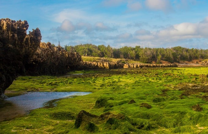 Hòn Đỏ có khí hậu ôn hòa, dễ chịu nên du khách có thể đến đây tham quan vào bất kỳ thời điểm nào trong năm, ngoại trừ mùa mưa bão. Ảnh: Trung Van Nguyen