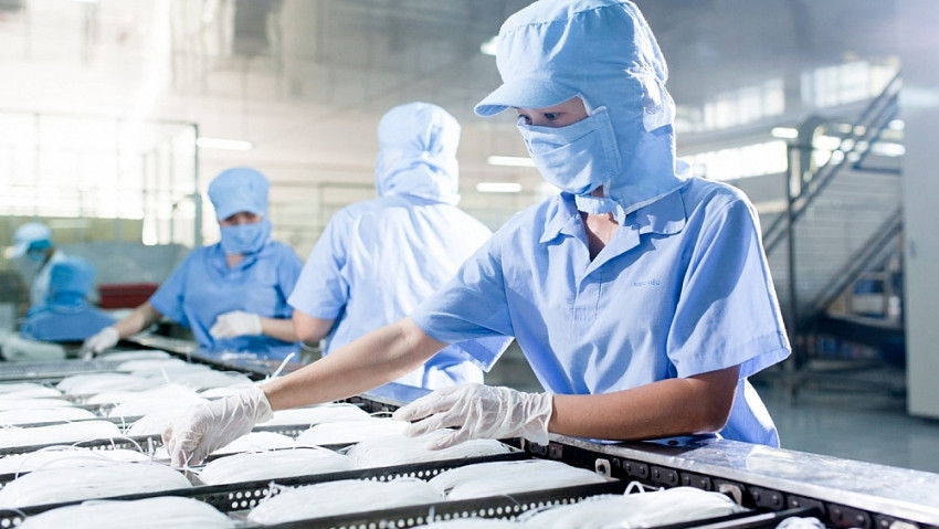 Một c&ocirc;ng ty con của thủy sản Vĩnh Ho&agrave;n (VHC) vừa ghi nhận l&atilde;i r&ograve;ng cao kỷ lục