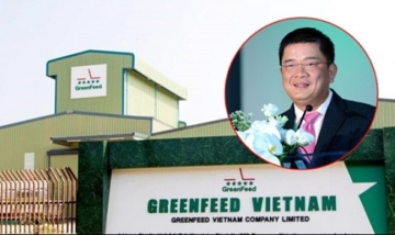 Công ty nuôi heo Top 37 thế giới của ông Lý Anh Dũng bất ngờ báo lãi khủng