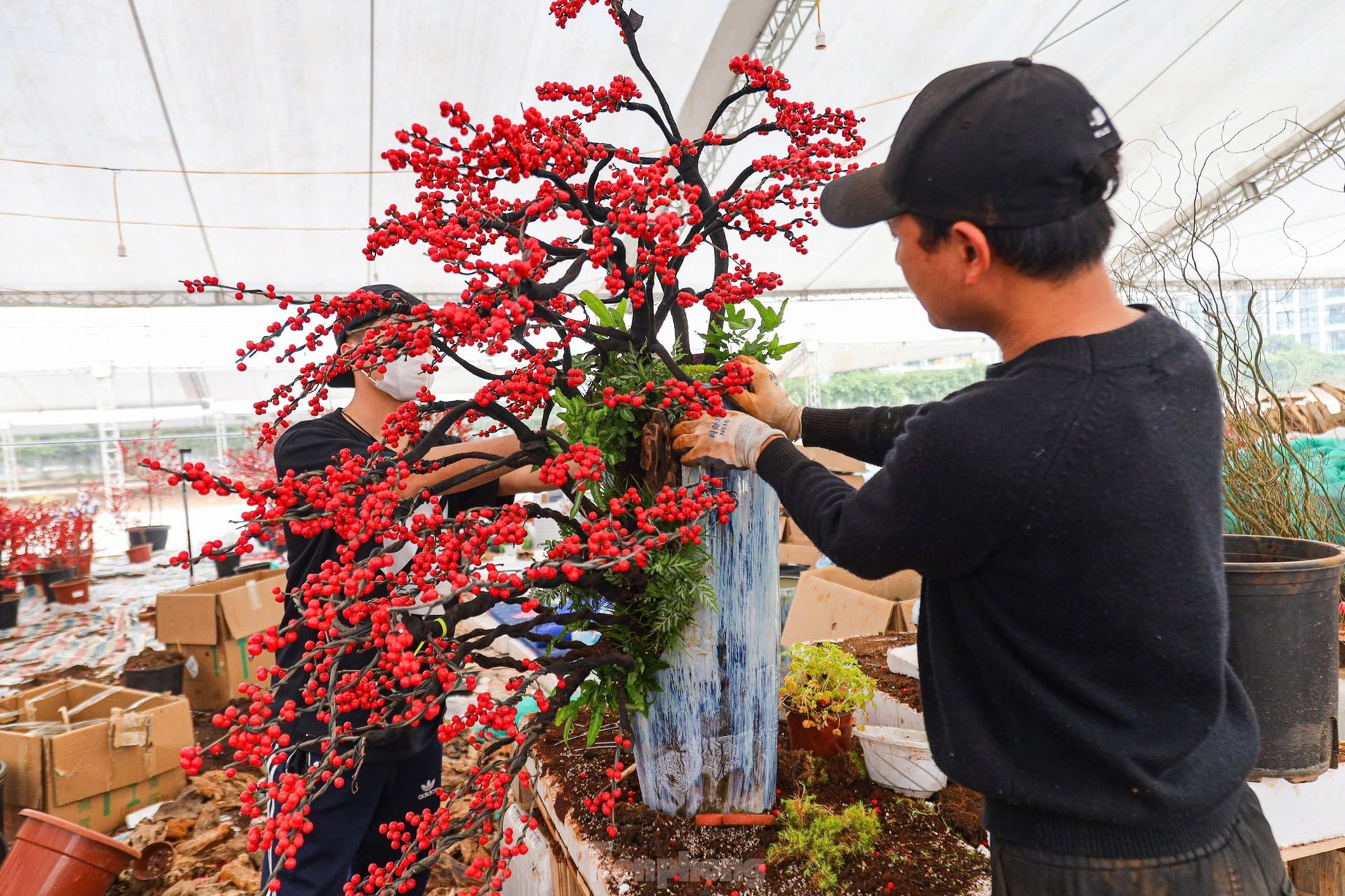 Đ&agrave;o đ&ocirc;ng tươi phối c&ugrave;ng gỗ lũa gi&aacute; trăm triệu đồng vẫn h&uacute;t kh&aacute;ch ảnh 8