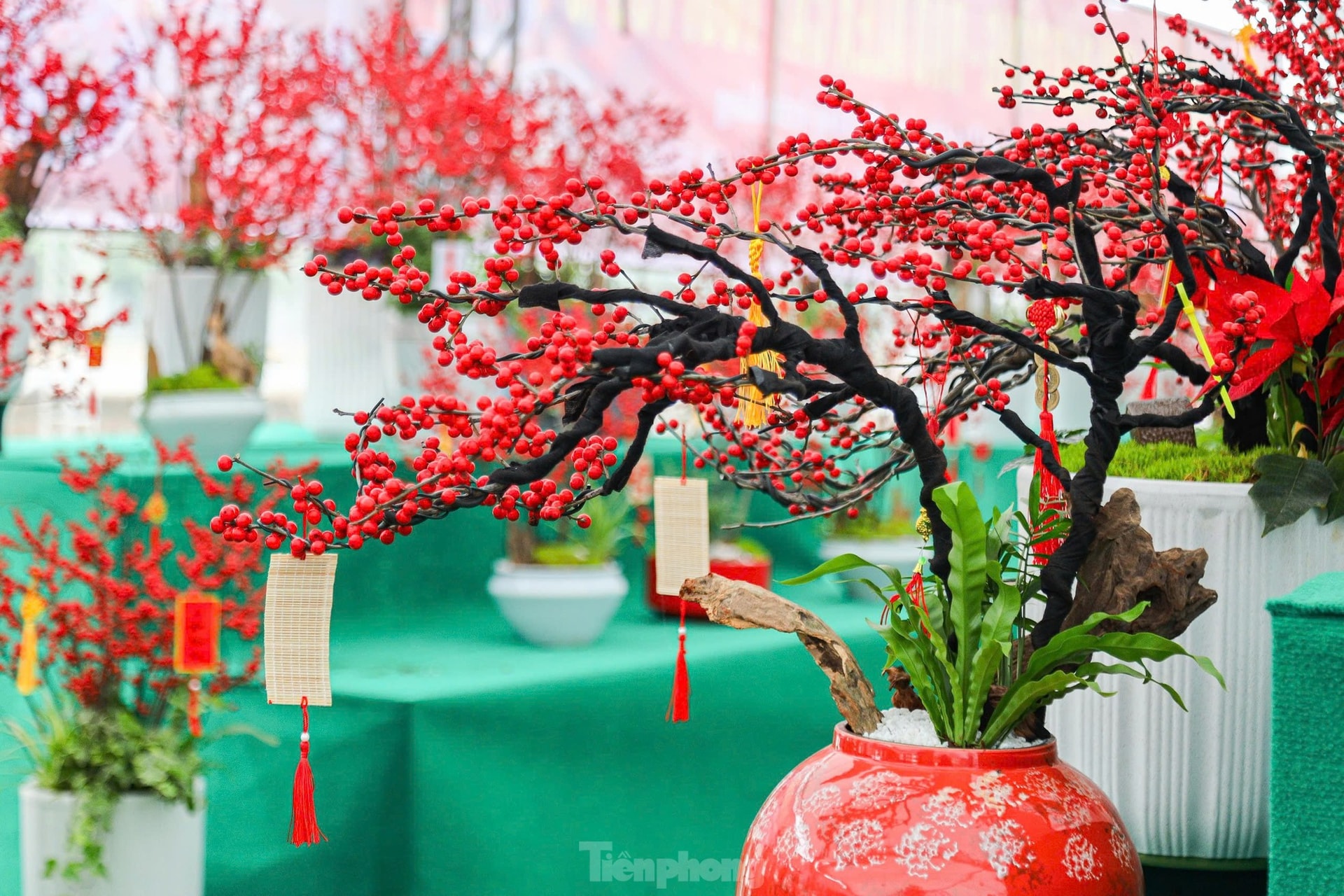 Đ&agrave;o đ&ocirc;ng tươi phối c&ugrave;ng gỗ lũa gi&aacute; trăm triệu đồng vẫn h&uacute;t kh&aacute;ch ảnh 3