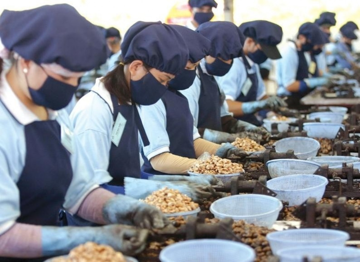 Chuyên gia: Doanh nghiệp vẫn gặp nhiều khó khăn