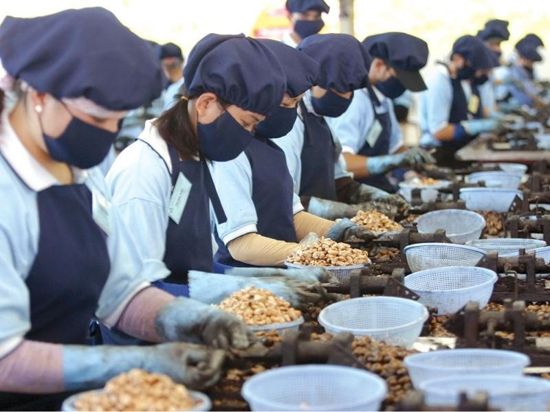 Chuy&ecirc;n gia: Doanh nghiệp vẫn gặp nhiều kh&oacute; khăn
