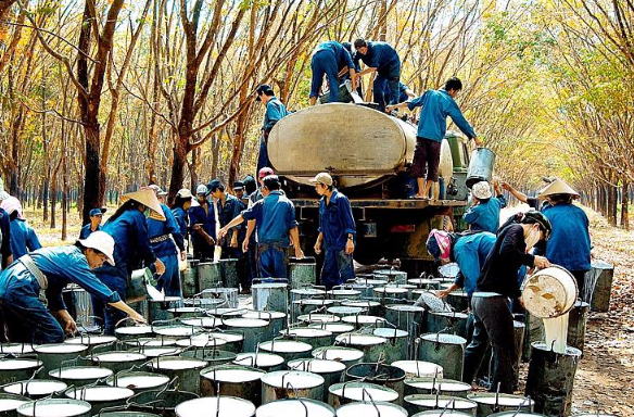 Sản vật tỷ đ&ocirc; của Việt Nam đạt kỷ lục: Trung Quốc, Ấn Độ l&agrave; những kh&aacute;ch h&agrave;ng lớn nhất