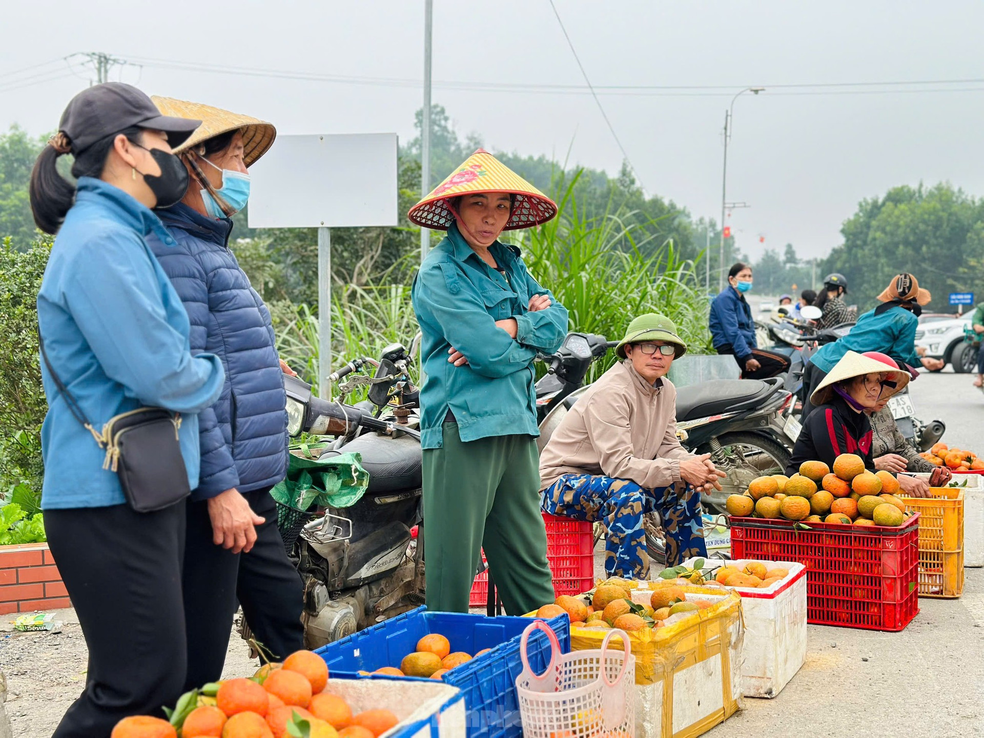 Thủ phủ cam b&ugrave; v&agrave;ng rực, bung h&agrave;ng ng&agrave;y Tết ảnh 7