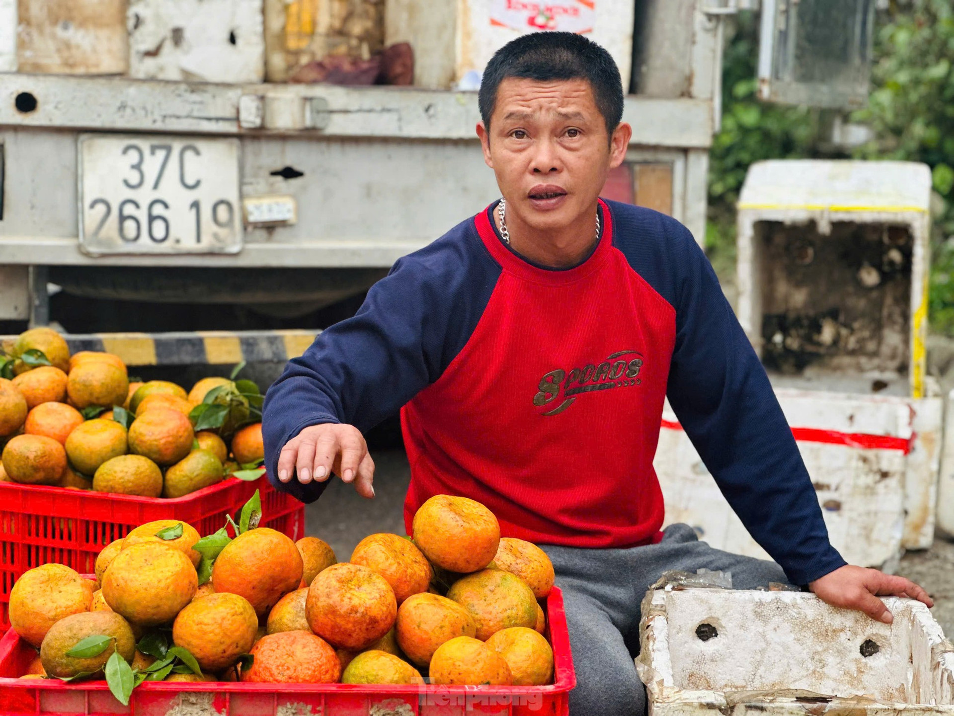 Thủ phủ cam b&ugrave; v&agrave;ng rực, bung h&agrave;ng ng&agrave;y Tết ảnh 4