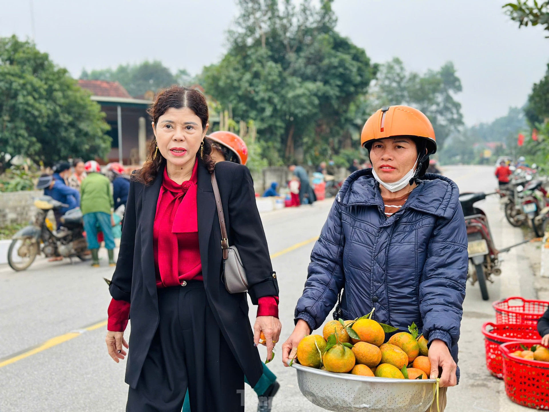 Thủ phủ cam b&ugrave; v&agrave;ng rực, bung h&agrave;ng ng&agrave;y Tết ảnh 5