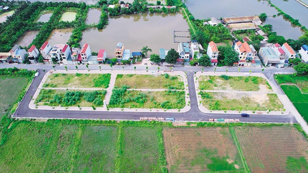 Ph&acirc;n kh&uacute;c n&agrave;o sẽ bật tăng sau Tết Nguy&ecirc;n đ&aacute;n 2025?- Ảnh 2.