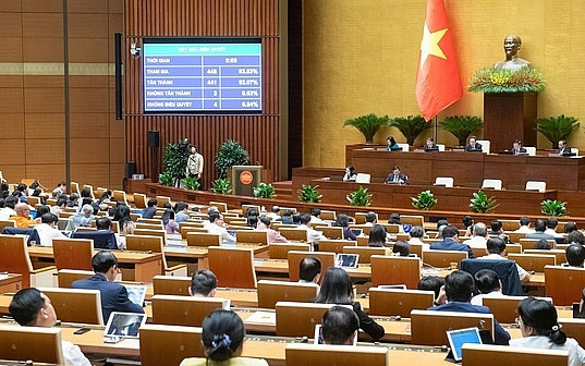 Đầu tư c&ocirc;ng 'bứt tốc chặng cuối': H&ograve;a Ph&aacute;t, Vinaconex, Đ&egrave;o Cả đ&oacute;n 'cơn s&oacute;ng' 790.700 tỷ đồng trong năm 2025