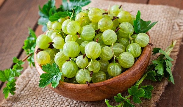 5 loại tương ớt tự nhiên giúp giảm axit uric, đánh bay nỗi lo bệnh gút