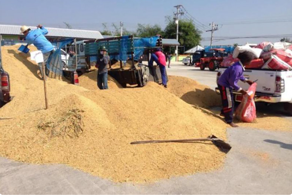 Xuất khẩu gạo của Thái Lan có thể sụt giảm 24%, Việt Nam sẵn sàng soán ngôi á quân thế giới - ảnh 1