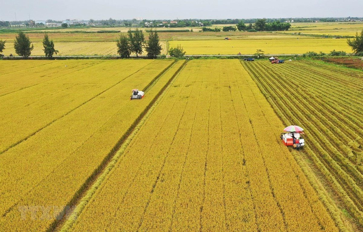 Từ b&acirc;y giờ, chuyển đổi đất n&ocirc;ng nghiệp sang đất thổ cư hết bao nhi&ecirc;u tiền?- Ảnh 1.