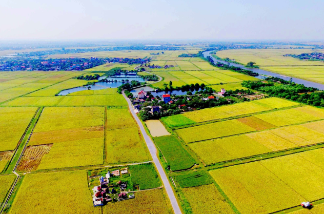 Từ hôm nay, 12 trường hợp này sẽ được miễn, giảm tiền sử dụng đất và tiền thuê đất- Ảnh 2.