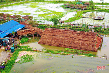 Chỉ 1 tháng hứng 3 cơn bão lớn, Hà Tĩnh thiệt hại hơn 9.000 tỷ đồng