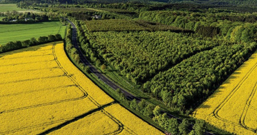 Kể từ nay, chuyển đổi quyền sử dụng đất nông nghiệp không có sổ đỏ sẽ bị phạt nặng