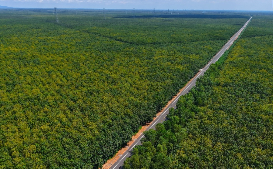 Sau 16 năm khởi công, con đường xuyên rừng cao su tại thành phố giàu nhất Việt Nam sắp hoàn thành- Ảnh 2.