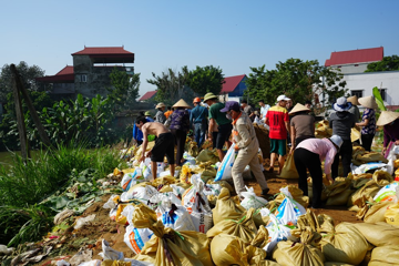 Bí thư thôn đột ngột qua đời khi tham gia chống lũ