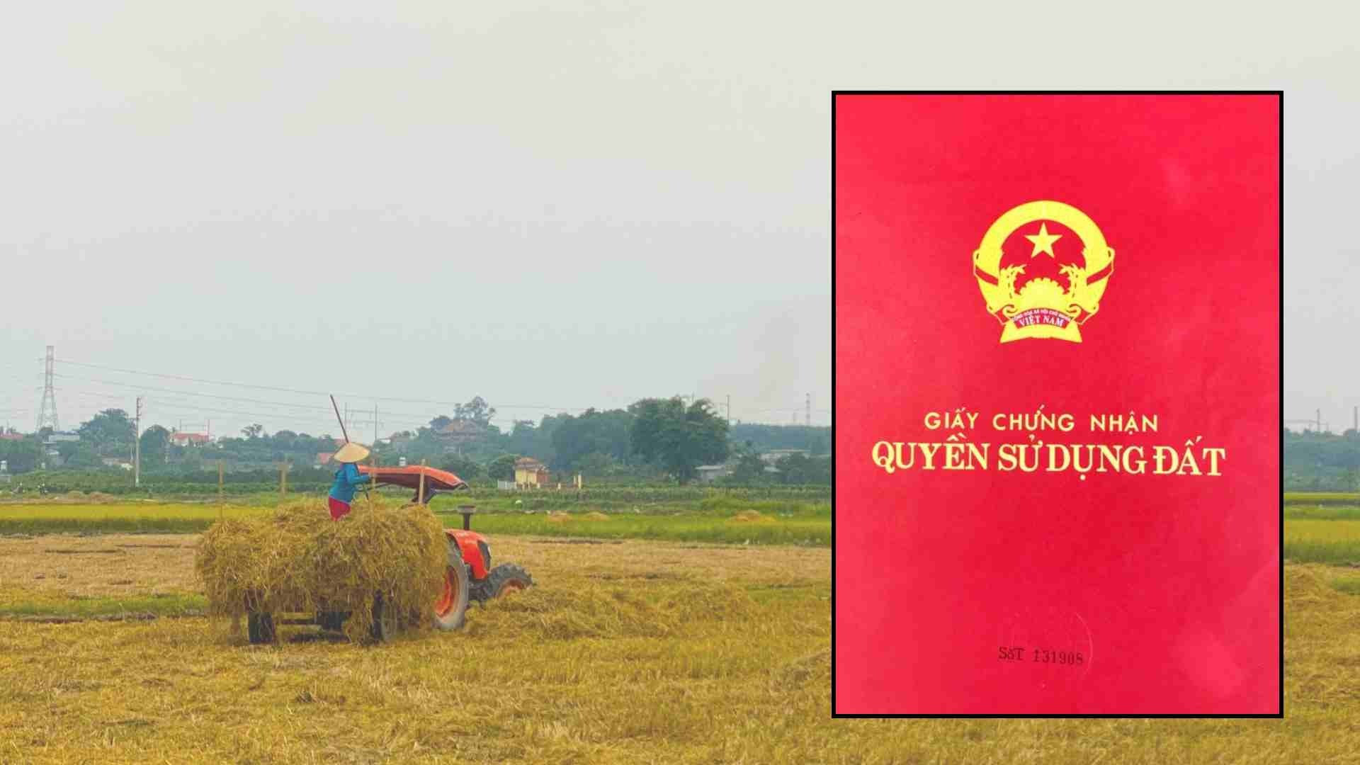 Kể từ nay, những trường hợp này sẽ được cấp đổi sổ đỏ theo quy định- Ảnh 1.