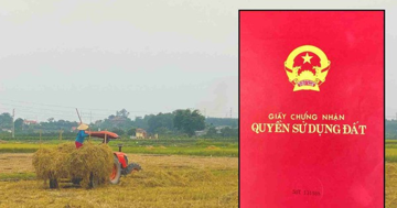 Kể từ nay, những trường hợp này sẽ được cấp đổi sổ đỏ theo quy định