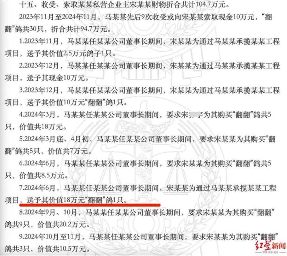 Cán bộ Nhà nước lĩnh án 10 năm tù vì... 95 con chim bồ câu trị giá hơn 4,8 tỷ đồng, con đắt nhất đủ mua căn hộ 50m² - ảnh 4