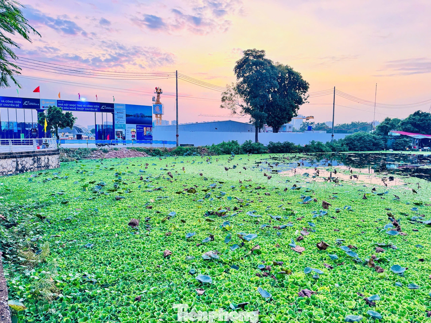 Toàn cảnh khu vực xây nhà hát 4.000 chỗ ngồi lớn bậc nhất châu Á, vốn đầu tư gần 13.000 tỷ đồng- Ảnh 4.