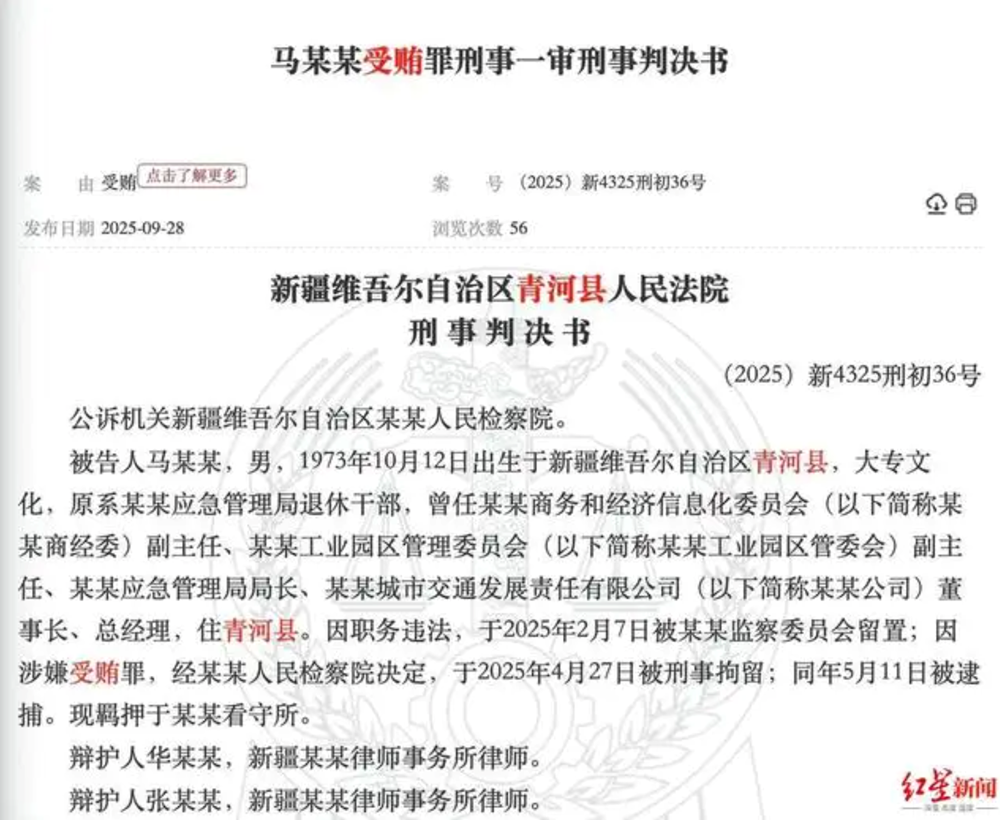 Cán bộ Nhà nước lĩnh án 10 năm tù vì... 95 con chim bồ câu trị giá hơn 4,8 tỷ đồng, con đắt nhất đủ mua căn hộ 50m² - ảnh 2