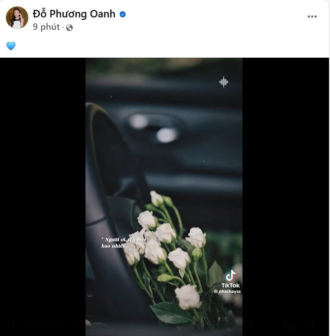 Động thái mới nhất của Phương Oanh - ảnh 1