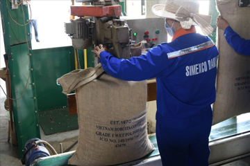 Một mặt hàng của Việt Nam đang 'khuấy đảo' thị trường toàn cầu, xuất khẩu chạm mốc 7 tỷ USD, giá tăng hơn 45%