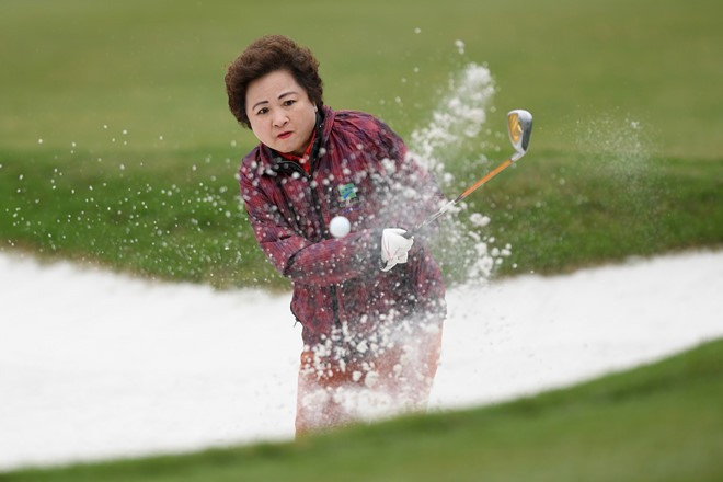 'Bông hồng thép' của BRG cùng hành trình định hình diện mạo đô thị Việt- Ảnh 1.